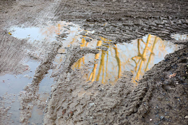 istock A muddy, rutted path with puddles reflecting bare trees and sky. Deep tire tracks are visible in the wet dirt. 2251200324