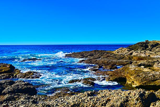 Point Lobos is a protected area in Monterey County known for its rich marine life, coastline, hiking trails through cypress forests along the coast.