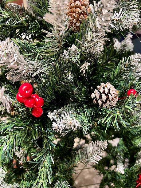 istock Christmas Tree Branches with Pine Cones, Red Berries, and Snow Frosting 2251204418