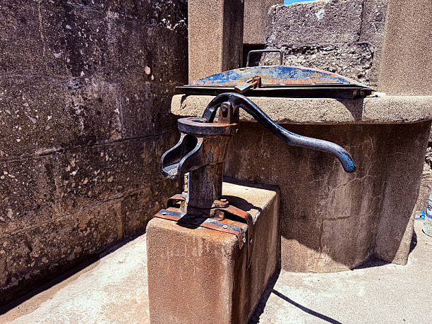 An old water pump standing in a lush garden area in Florida.