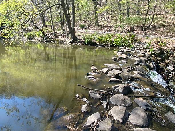 istock Park lake North eastern Nature 2251206616