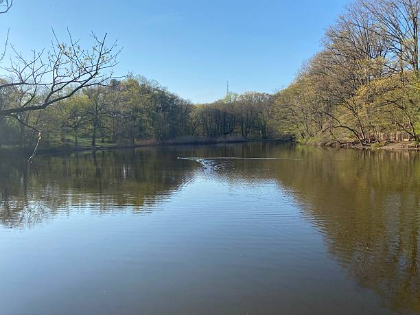 istock Park lake North eastern Nature 2251206679
