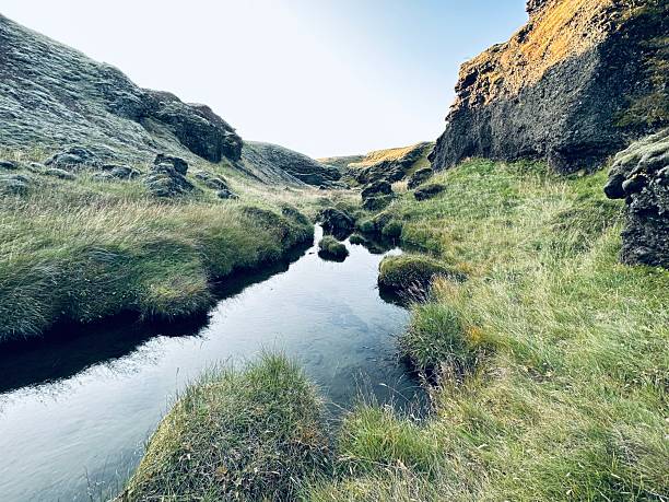 Majestic Iceland Summer Landscape