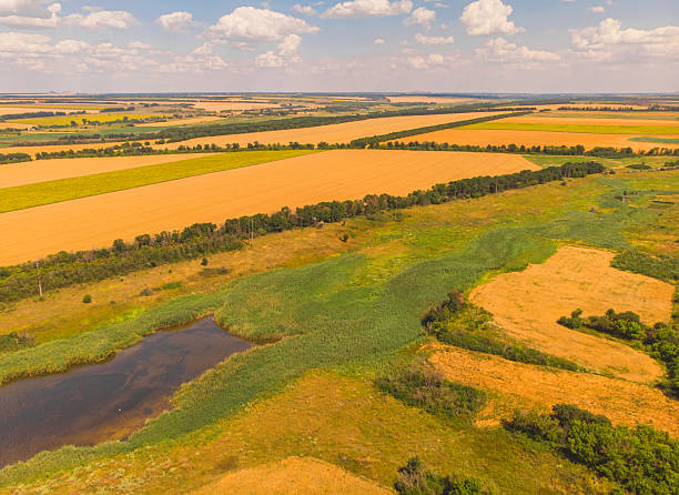 istock Beautiful view to the wheat fields with river and forest 2251209421