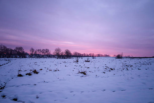 ​A desolate winter landscape is covered in snow under a dramatic, bright purple sky during sunrise or sunset. The horizon is outlined by the silhouettes of bare trees, creating a cold yet picturesque atmosphere.