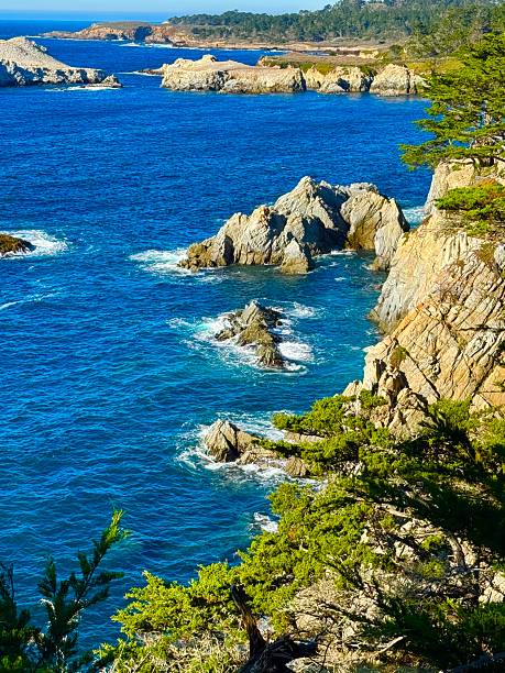 istock Point Lobos State National Reserve 2251212915