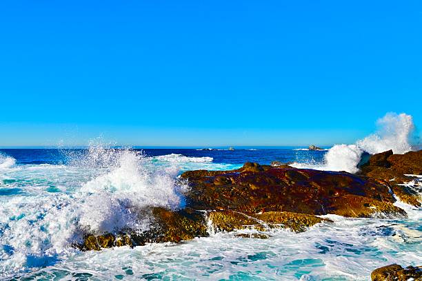 Point Lobos is a protected area in Monterey County known for its rich marine life, coastline, hiking trails through cypress forests along the coast.