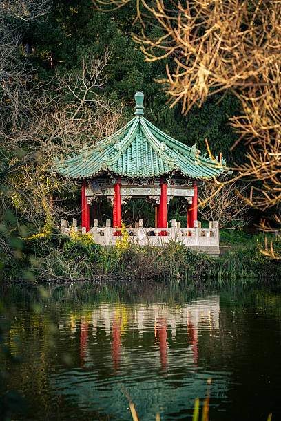 istock Chinese Pavilion Reflected in a Peaceful Lake at Golden Gate Park 2251213621
