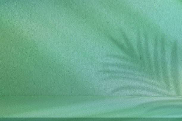 istock Tropical leaf shadow on green pastel wall texture background,Studio room with floor display mockup for summer spring vibe.Image design for natural cosmetic,spa product backgrounds,seasonal marketing 2251213705