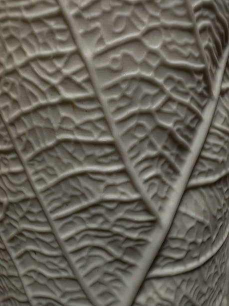istock Detailed Seamless White Leaf Vein Pattern as Abstract Background 2251215406