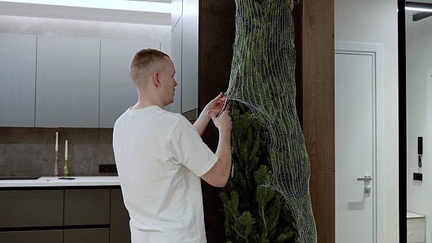 istock Male carefully removing christmas tree from protective packaging, setting up festive decor in minimalist living space with soft lighting and contemporary furnishings 2251216193