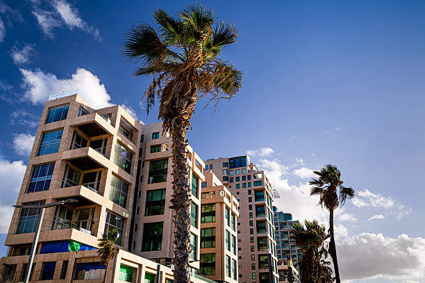 Modern architecture against palm trees and blue sky, Tel Aviv, Israel. Developing city in the Middle East.