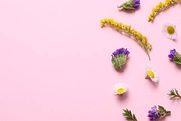 istock Flower arrangement with spring flowers on a colored background 2251220165