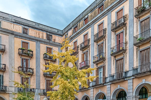 Alba is considered the capital of the Langhe hill area, and is famous for white truffles, fishing and wine production.