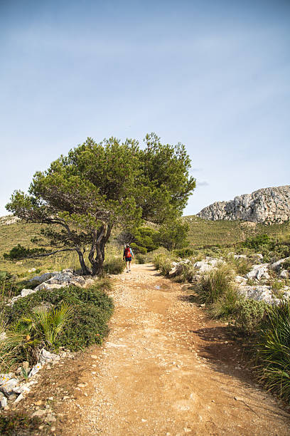 A person walking on a dirt path through a mountainous landscape with green trees and clear sky.