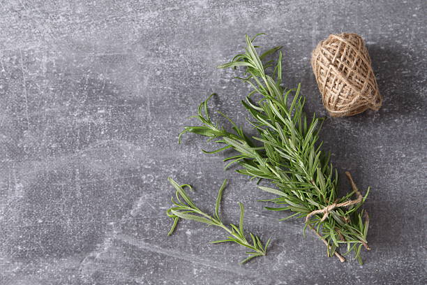 istock Green rosemary on the table 2251220830