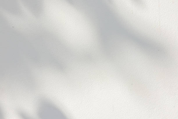 istock close up on white plain wall background texture with shadow of window from sunlight for ads and advertisement product such as cosmetic or content or goods design display concept 2251222234
