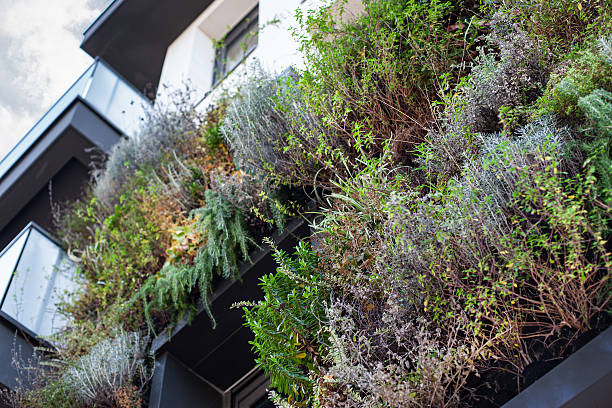 istock Green building in the city 2251222555