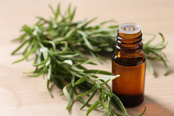 istock Rosemary extract essential oil. nature green. 2251223368