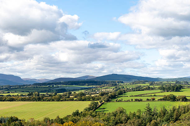 istock Irish landscape in Avondale, Wicklow area 2251231078
