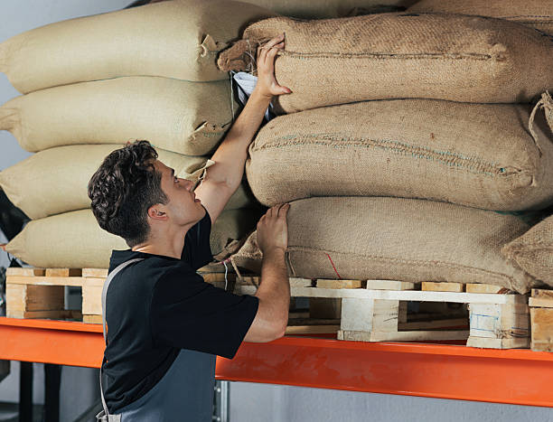 istock Warehouse worker moving a bag on a shelf. Young employee in an apron working at a warehouse, adjusting bags of coffee beans on the shelf. 2251231216