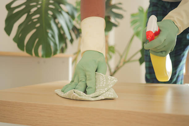 istock Cleaning a wooden table with a cloth and spray 2251231733