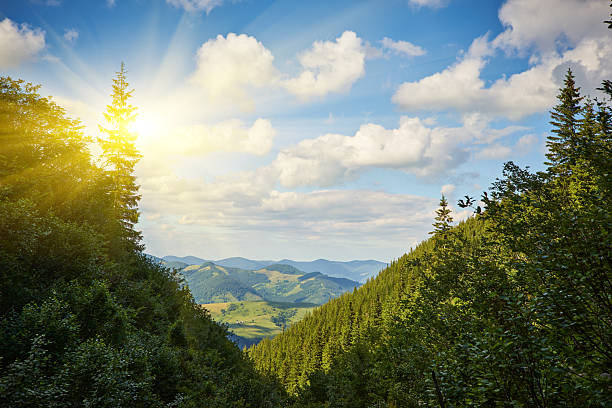 istock Summer landscape in mountains and the blue sky 2251232035