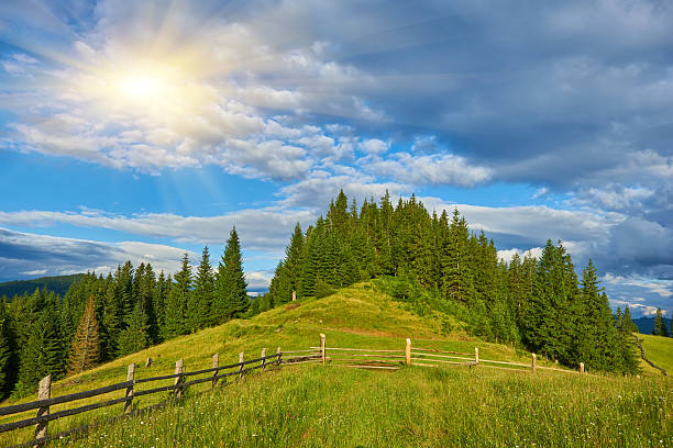 wooden fence on green meadow in mountains