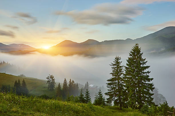 istock Summer landscape in mountains and the blue sky 2251232233
