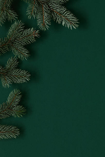 istock Green Christmas background with Christmas tree branches. 2251232303