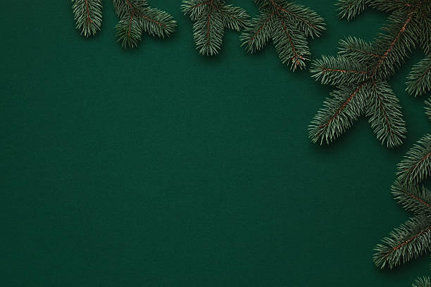 istock Green Christmas background with Christmas tree branches. 2251232414