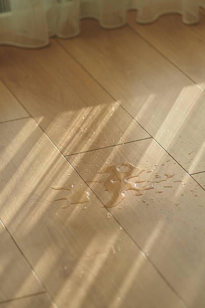 istock Water spill on wooden floor with sunlight streaming in 2251234511