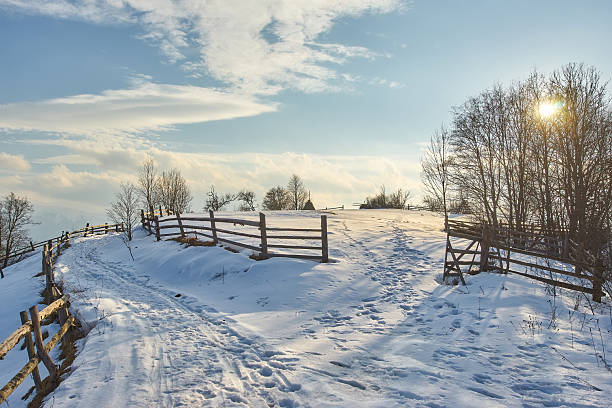 istock Beautiful winter landscape with snow trees 2251235744