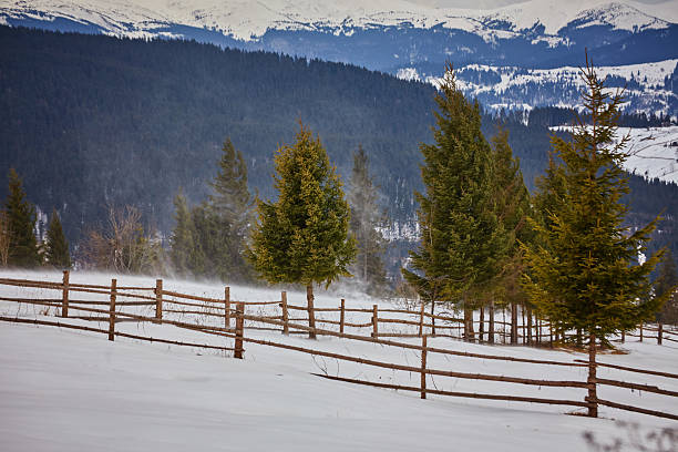 A peaceful winter scene shows snow blanketing the ground and trees. The misty mountains in the background create a calm atmosphere, highlighting nature's beauty in winter.