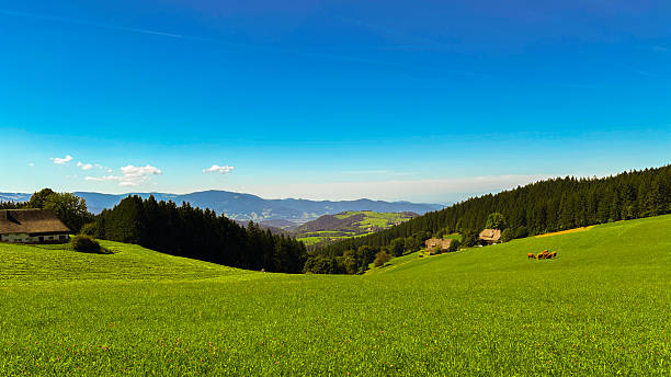 Landscape with pasture in a mountainous area