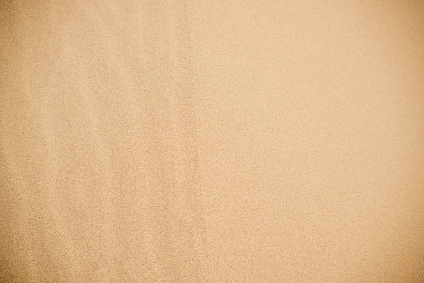 istock Background texture of dry sand. 2251238305