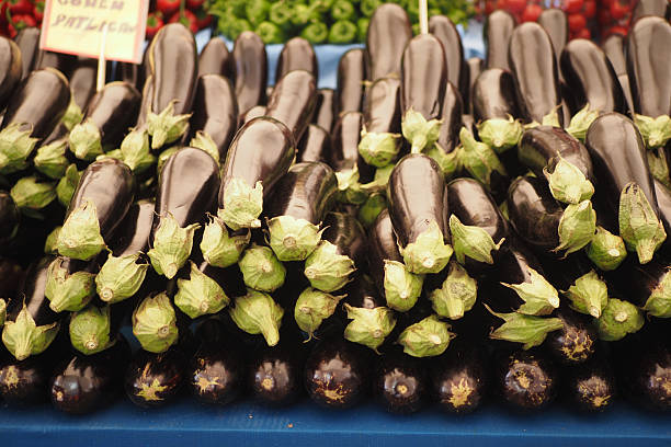 aubergine