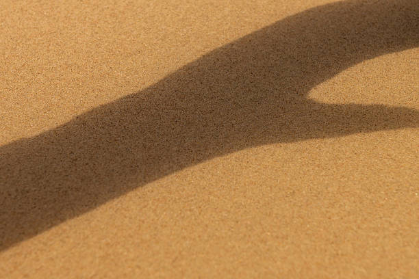 shadow on the beach, transparent sand surface, dynamically arranged shadow