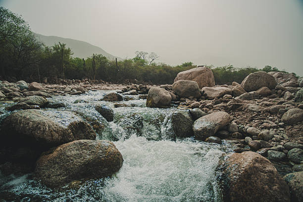 River rising, rushing through rocks with a mountainous background and fog.