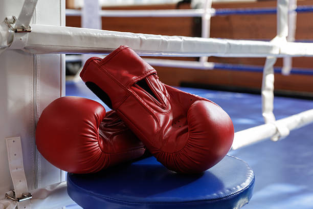Two fighters' gloves touch in a boxing ring, capturing competition, focus, and teamwork