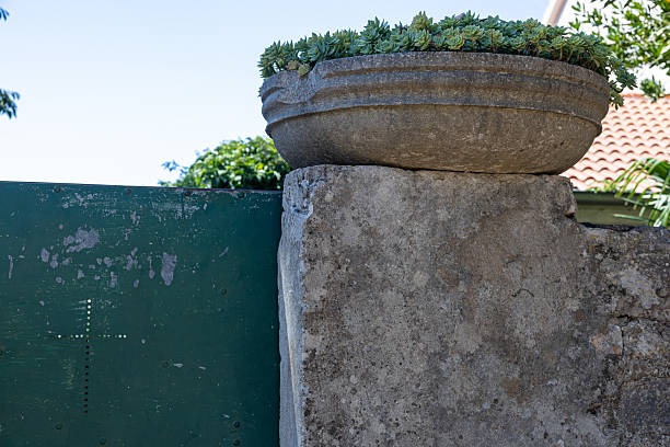 istock Stone Wall with Green Gate and Potted Plant Under Blue Sky, Grohote, Solta 2251248886