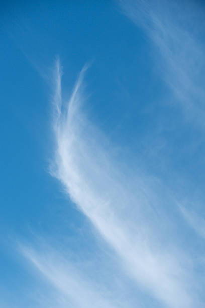 istock Cirrus Clouds - Color Portrait Format 2251249569