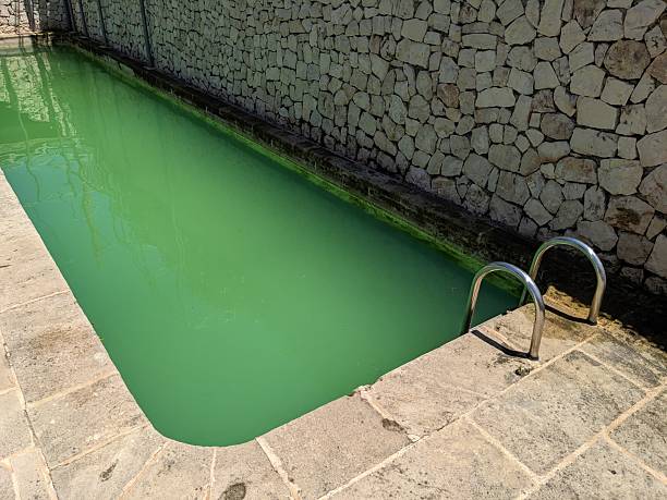 istock Swimming pool with green water 2251250181