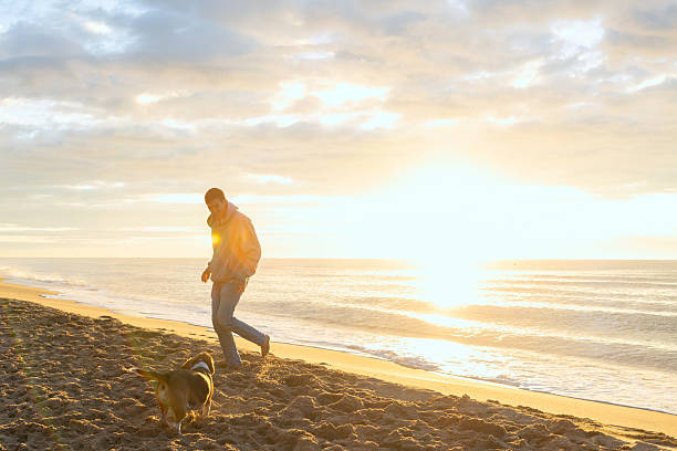 istock Man and dog playing on beach at sunrise 2251256398