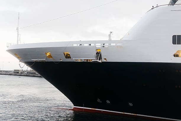 Large luxury cruise ship docked at harbor, showcasing sleek design and modern features, reflecting maritime elegance and adventure on the open sea