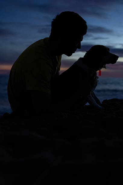 Young adult man and his dog enjoying a quiet moment on a sandy beach, silhouetted against a colorful twilight sky, reflecting a strong bond and pet companionship