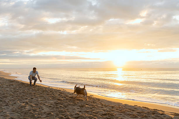 istock Man and dog playing at sunrise beach 2251256645