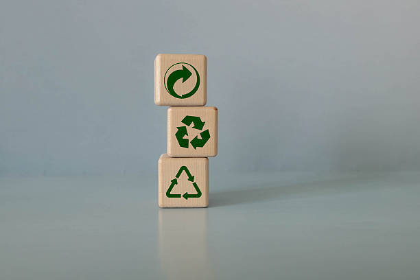 istock Stop destroy nature. Circular economy concept, recycle, environment, 2251256717