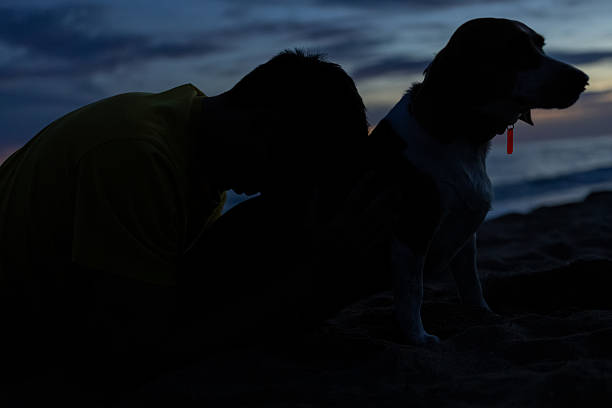 A woman on a beach at sunset training and walking her dog, Devon UK.