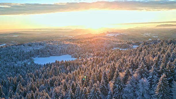 istock Sunrise over Snow-covered Pine Forests and Distant Mountains 2251262532